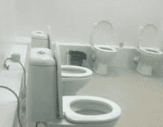 sochi toilets