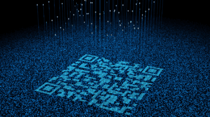A digital representation of a QR code